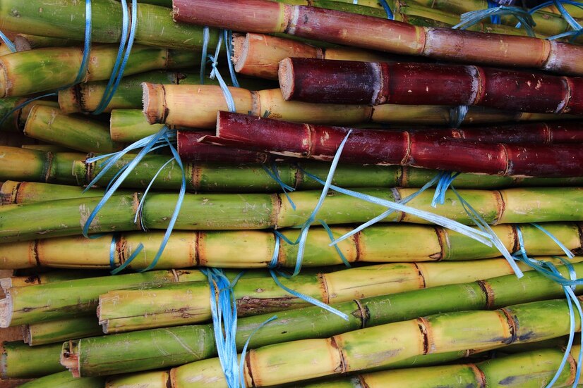 impact of gst on bamboo market