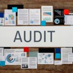 can statutory auditor be gst auditor